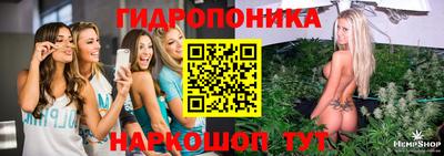 стафф Комсомольск-на-Амуре