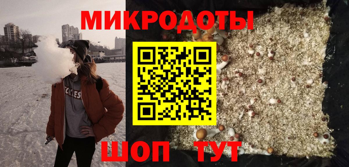 Псилоцибиновые грибы прущие грибы Славянск-на-Кубани
