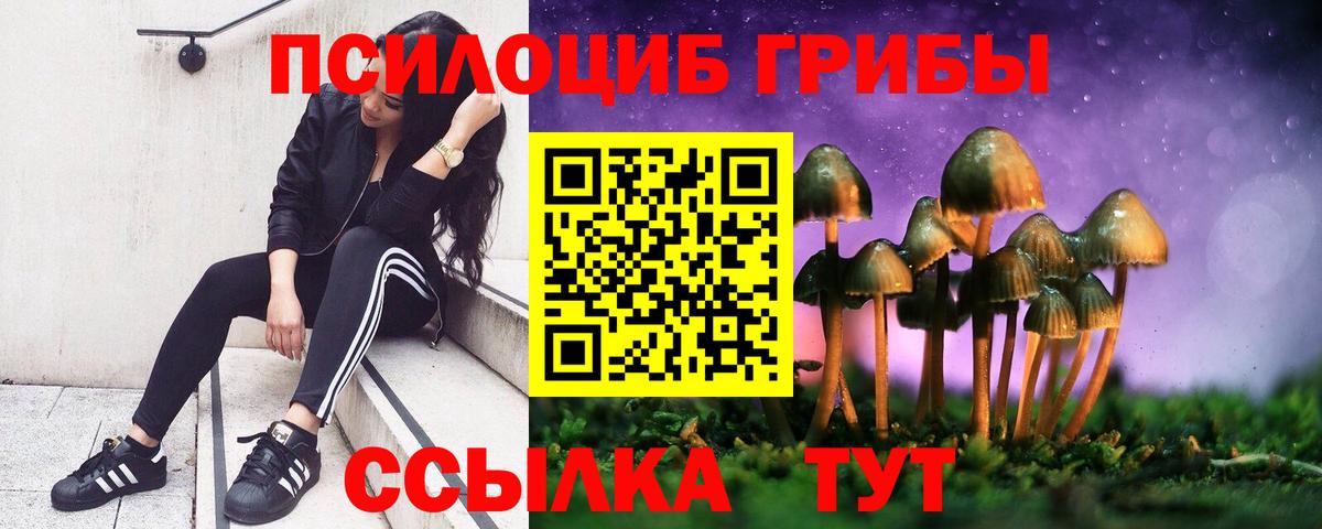 Псилоцибиновые грибы Psilocybe  Вход с VPN  Славянск-на-Кубани 